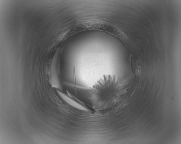 X0000054391108200508270026