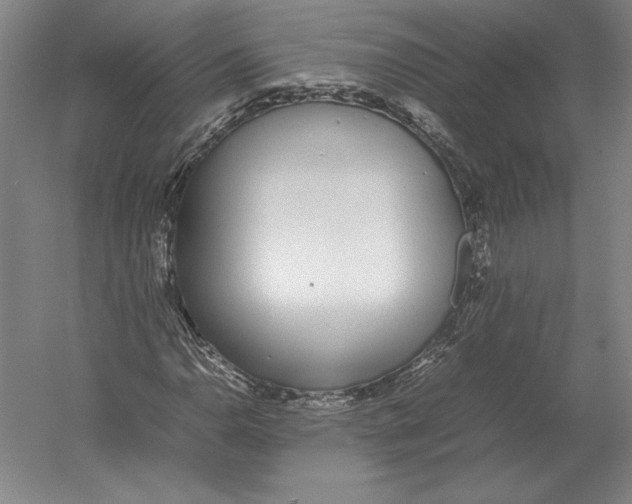 X0000054391110200508270026