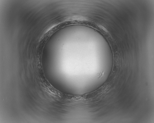 X0000054391112200508270026