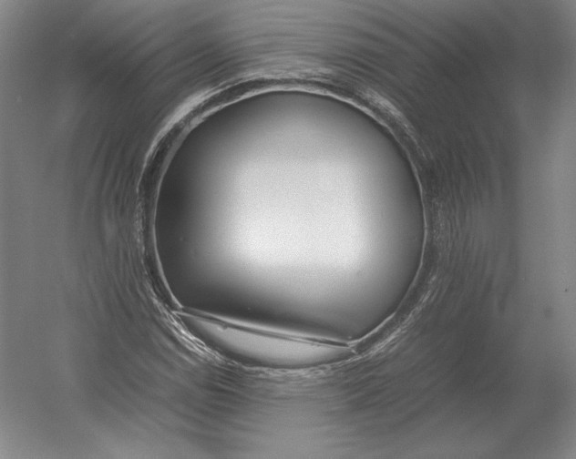 X0000054391114200508270026