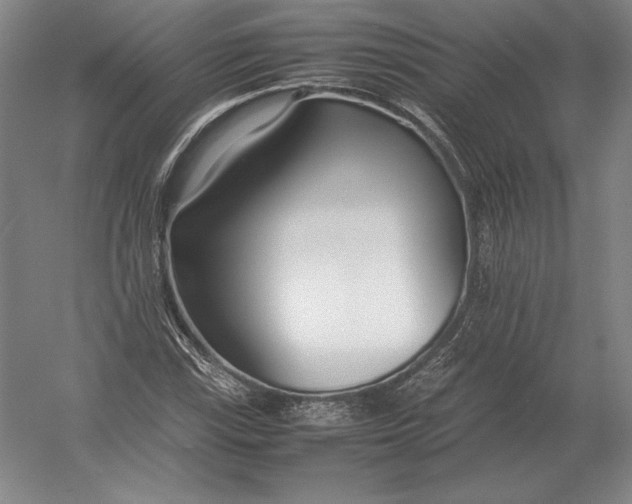 X0000054391115200508270026
