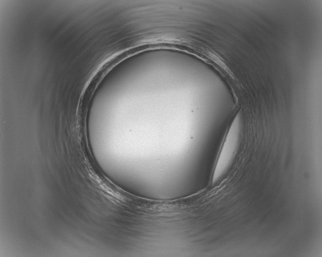 X0000054391116200508270026