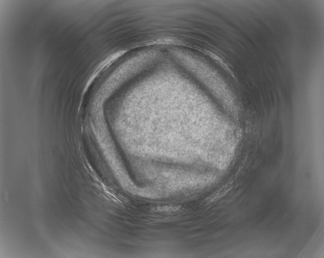 X0000054391117200508270026