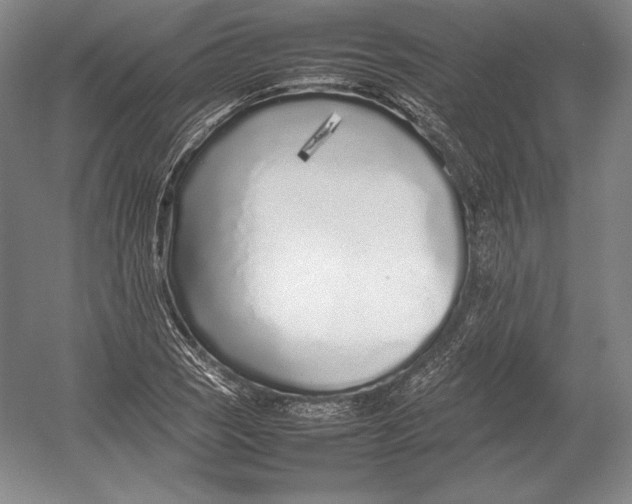 X0000054391121200508270027