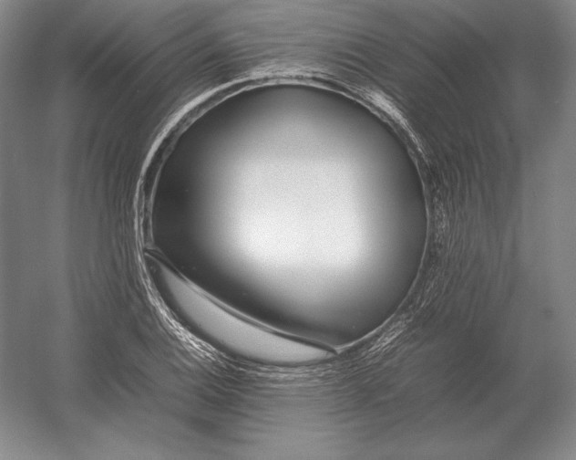 X0000054391124200508270027