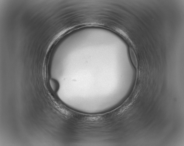 X0000054391125200508270027