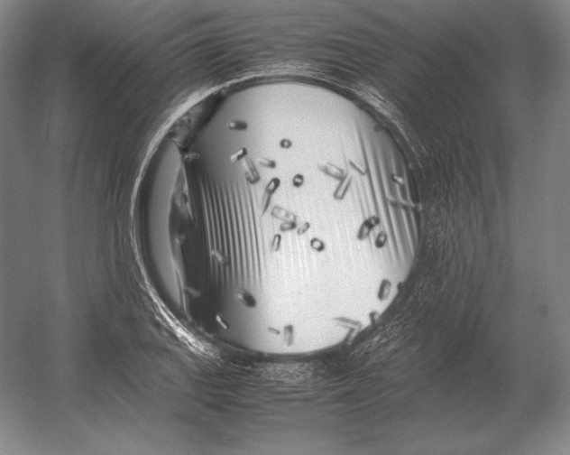 X0000054391127200508270027