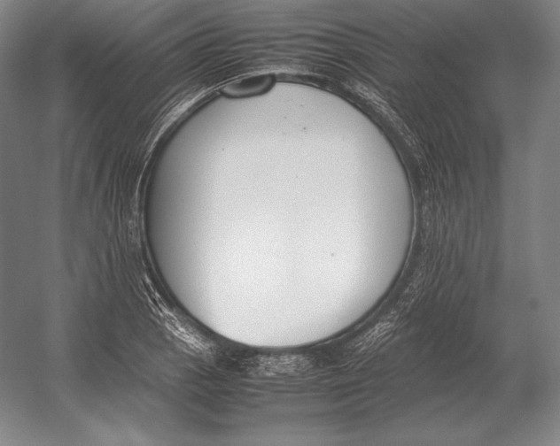 X0000054391129200508270027