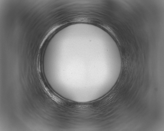 X0000054391131200508270027