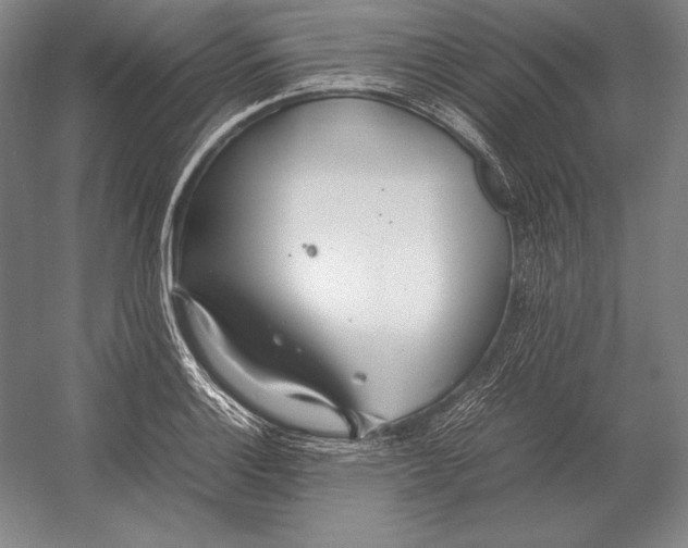X0000054391132200508270027