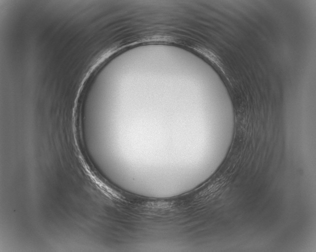 X0000054391135200508270027