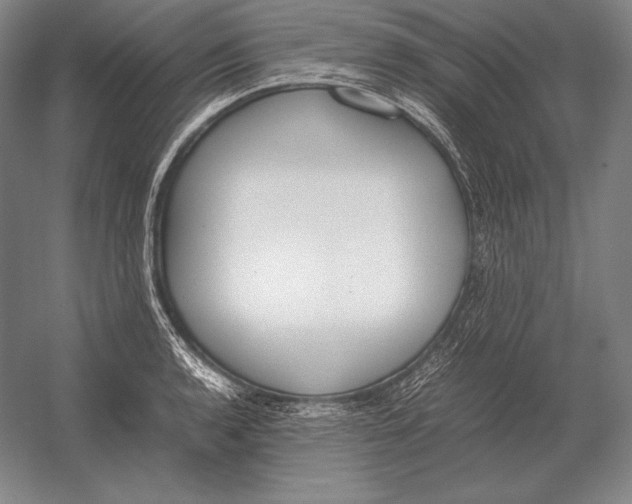 X0000054391136200508270027
