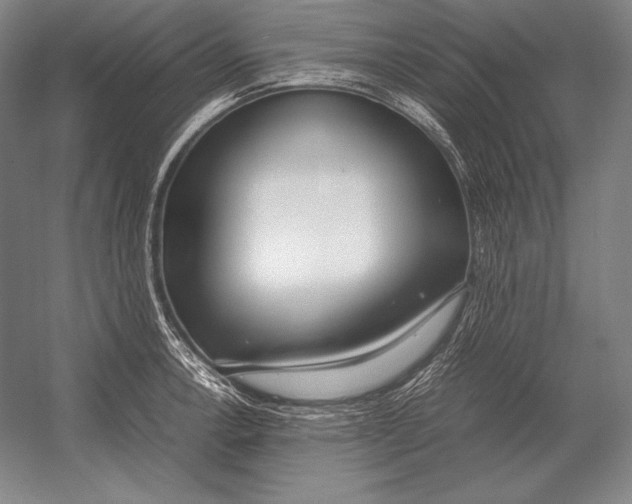 X0000054391138200508270027