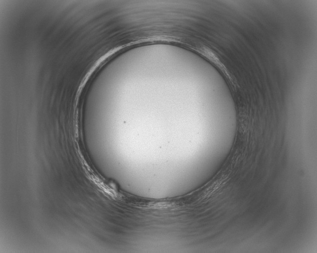 X0000054391140200508270027