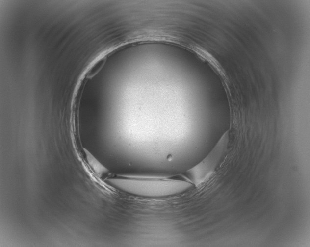 X0000054391144200508270027