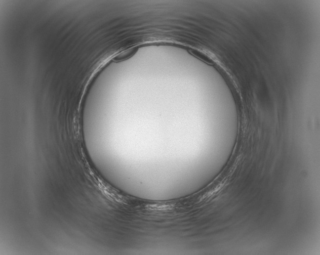 X0000054391145200508270027