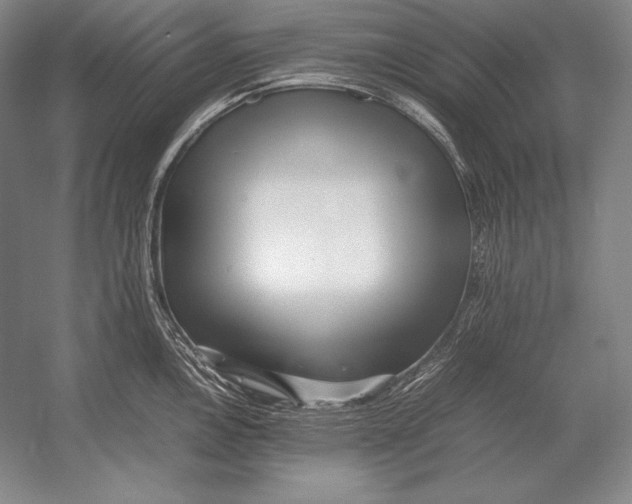 X0000054391146200508270027
