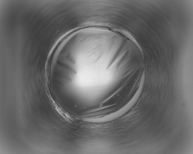 X0000054391148200508270027