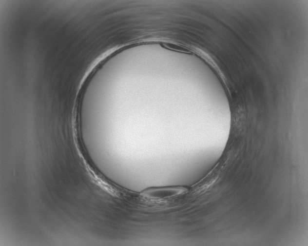 X0000054391149200508270027