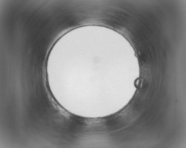 X0000054391150200508270027