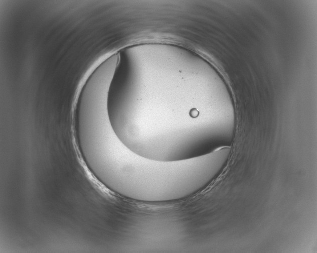 X0000054391152200508270027