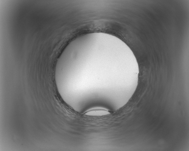 X0000054391153200508270026