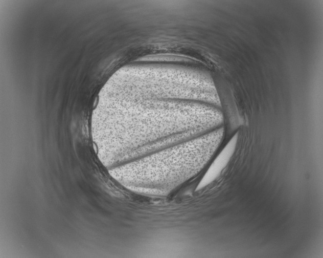 X0000054391155200508270026