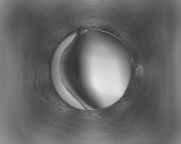 X0000054391156200508270026