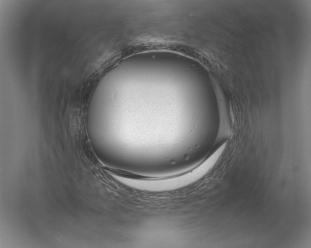 X0000054391157200508270026