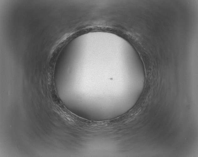 X0000054391159200508270026