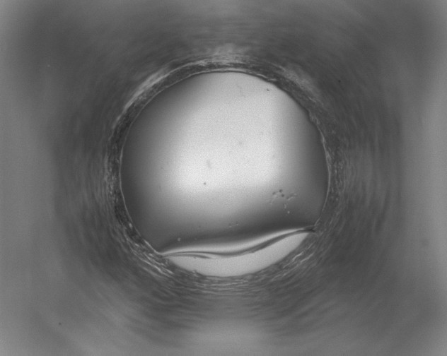 X0000054391160200508270026