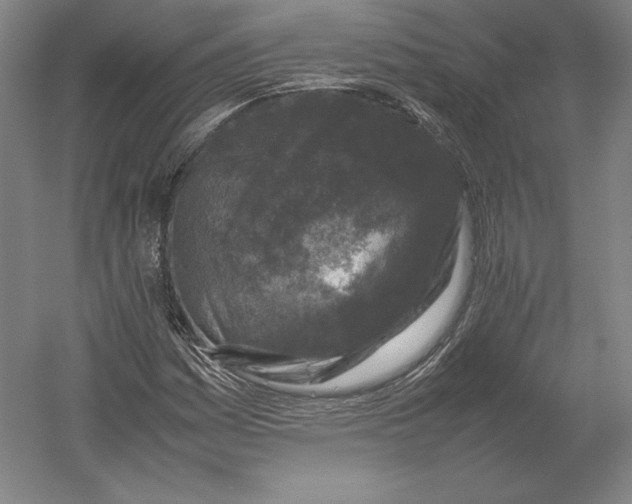X0000054391161200508270026