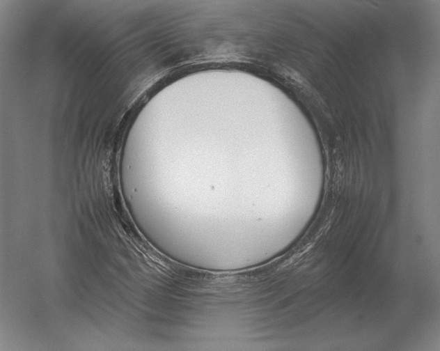 X0000054391162200508270026