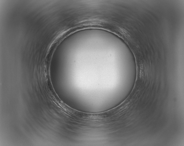 X0000054391164200508270026