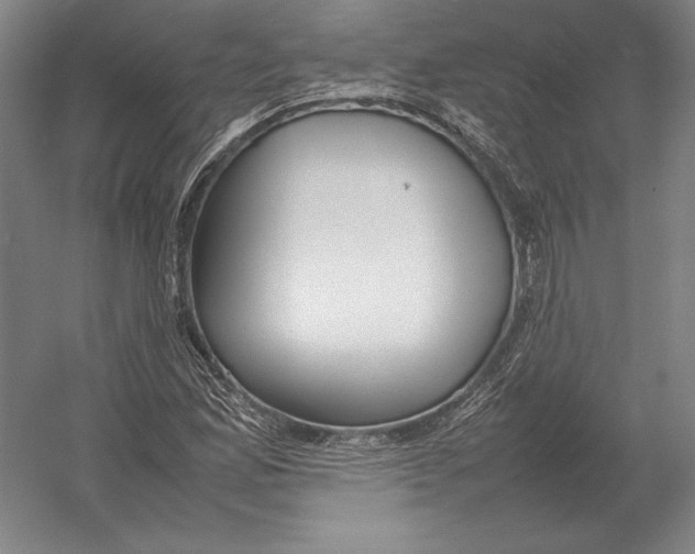 X0000054391165200508270026