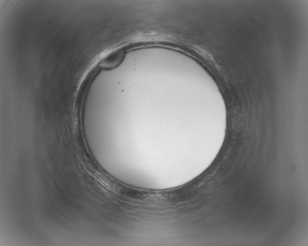 X0000054391167200508270026