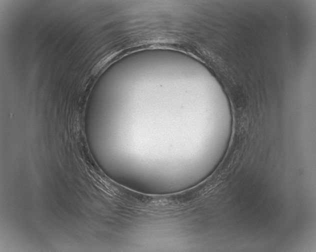 X0000054391169200508270026