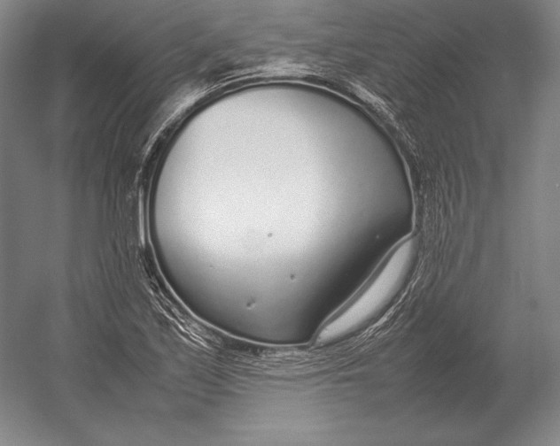 X0000054391171200508270026