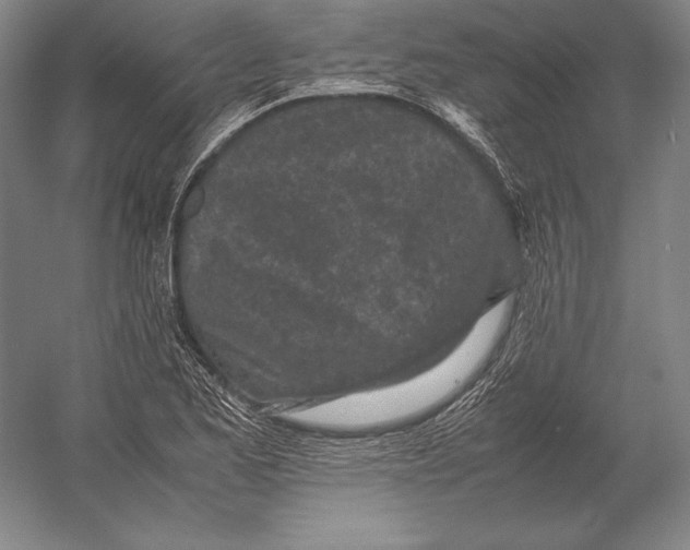 X0000054391173200508270026