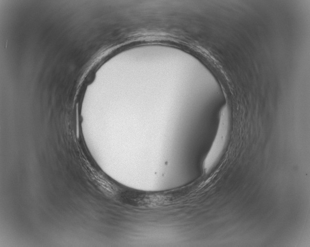X0000054391175200508270026