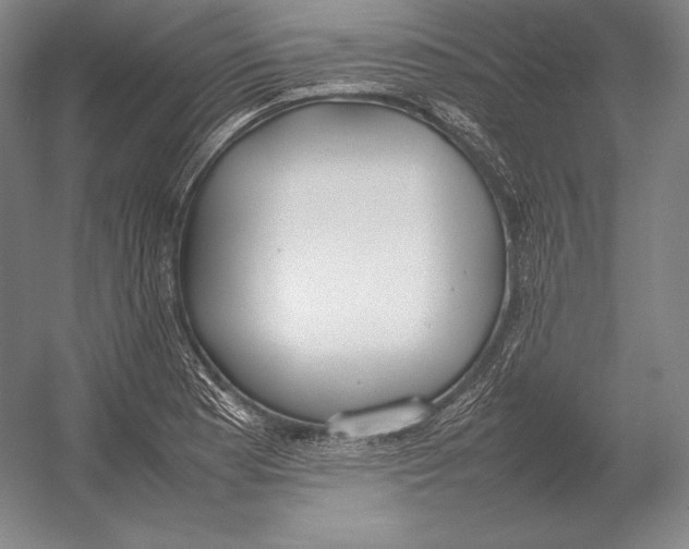 X0000054391177200508270026