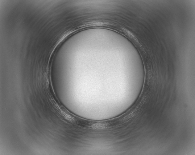 X0000054391178200508270026