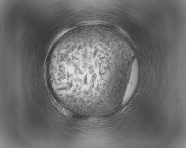 X0000054391179200508270026