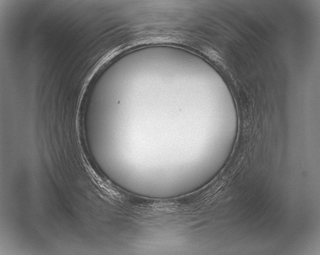 X0000054391181200508270026