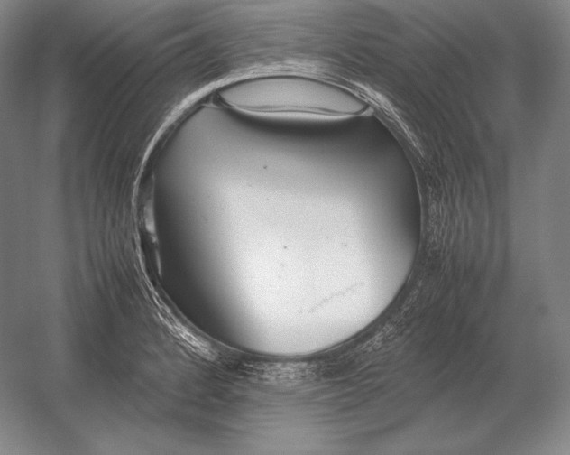 X0000054391184200508270026