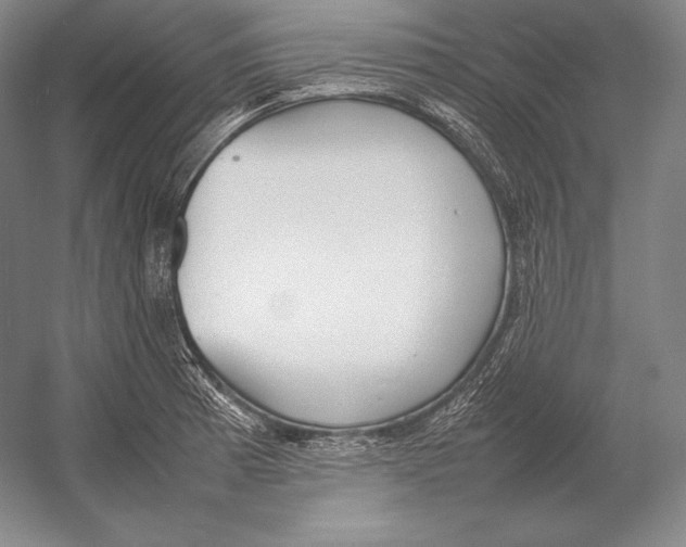 X0000054391185200508270026