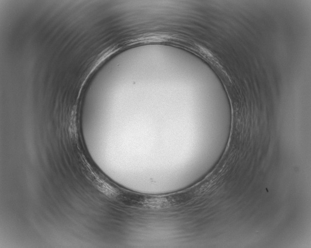 X0000054391186200508270026