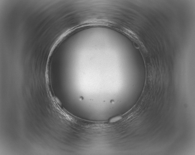 X0000054391188200508270026