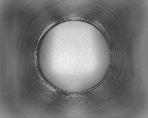 X0000054391190200508270026