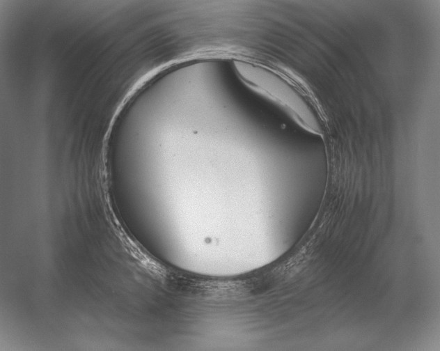 X0000054391192200508270026